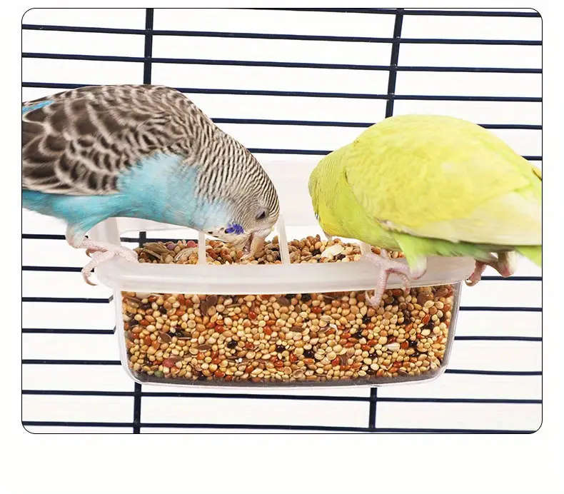 Small Bird Feeder