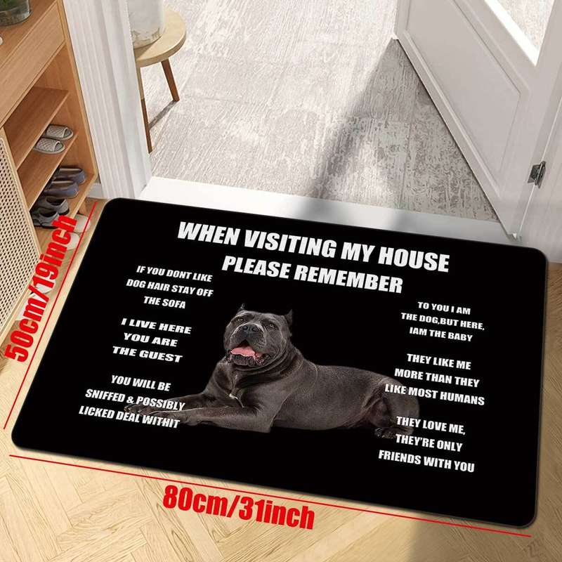 1Pc 50x80cm 19x31inch Floor Mat