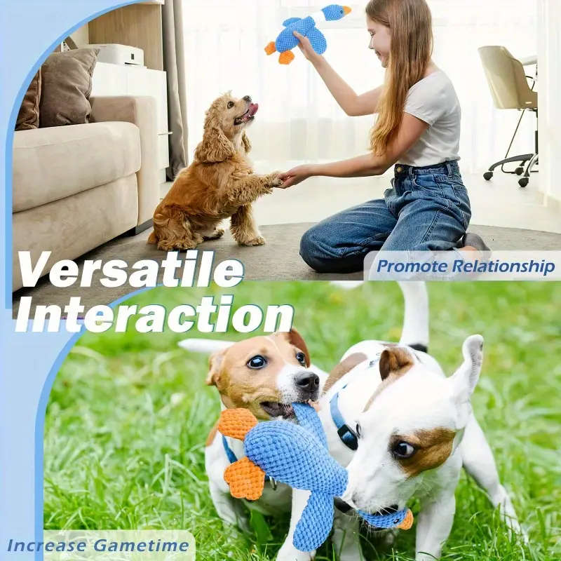 Dog Chew Toys