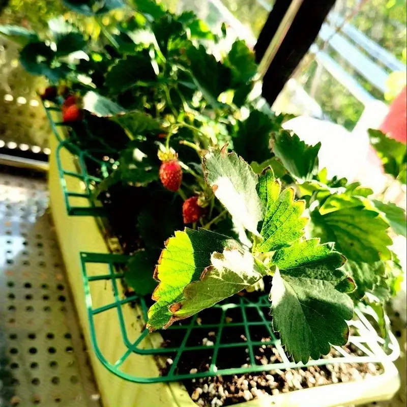 Premium Gardening Tool Set