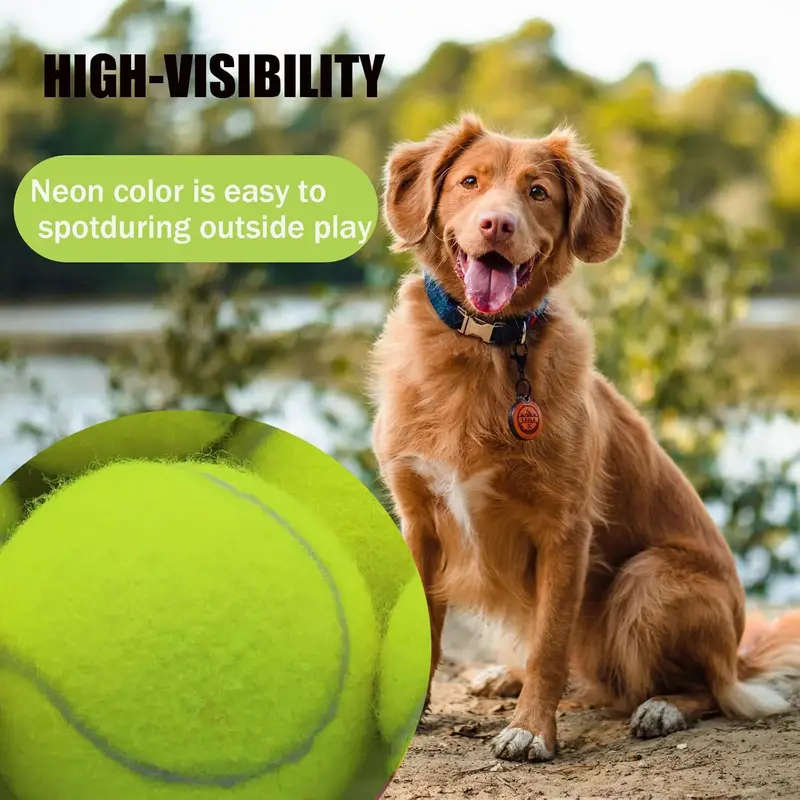 Dog Chew Toys