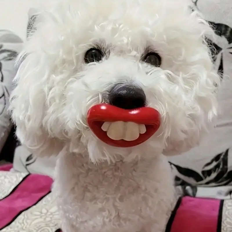 Dog Chew Toys