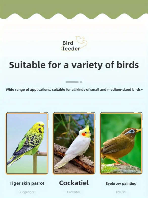 Bird Feeder
