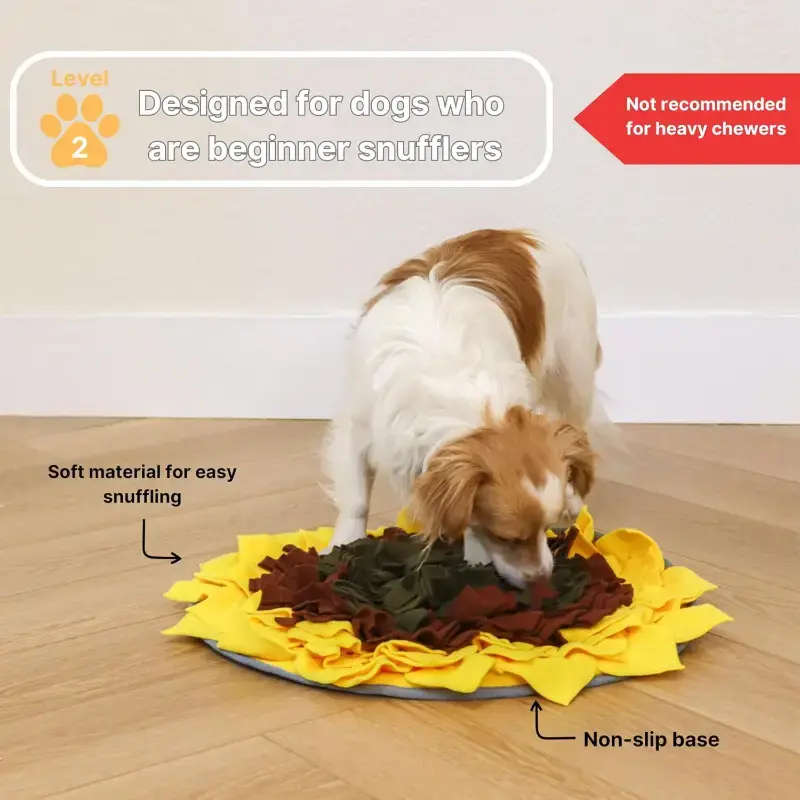 Dog Toys