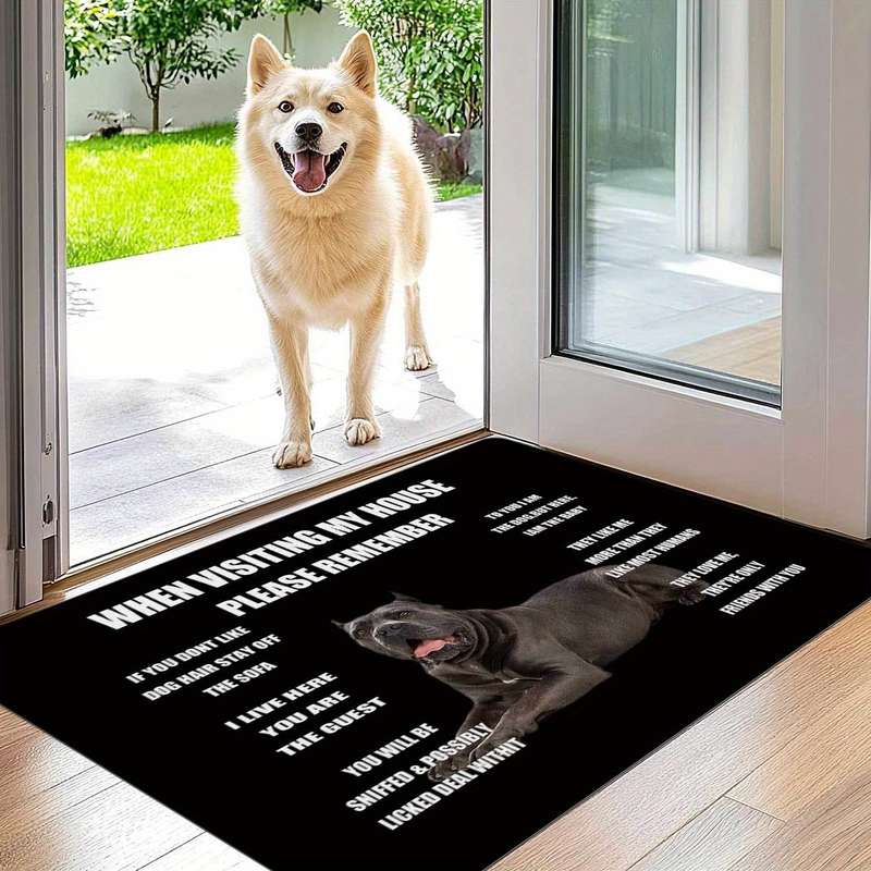 1Pc 50x80cm 19x31inch Floor Mat