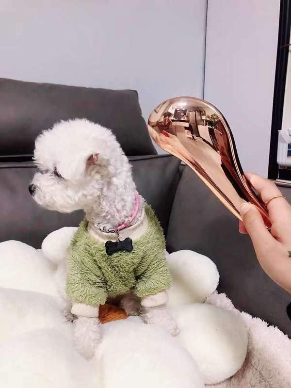 1pc MultiColored Pet Comb
