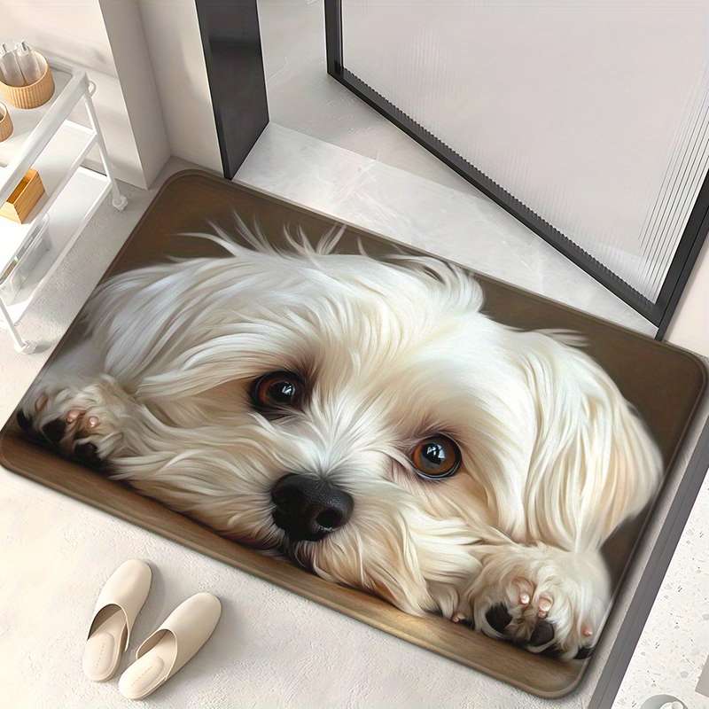 1Pc 19.69x31.49inch 50x80cm Floor Mat