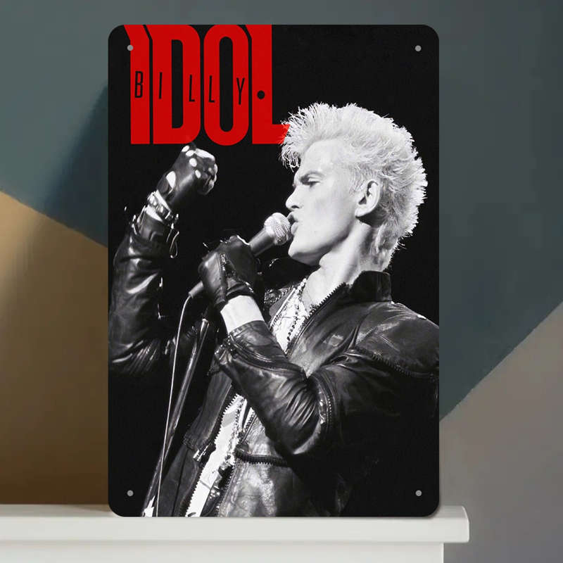 1pc Vintage Metal Tin Sign 20.32x30.48 cm Billy Idol Rock Star Idol Artwork Retro Aluminum Wa