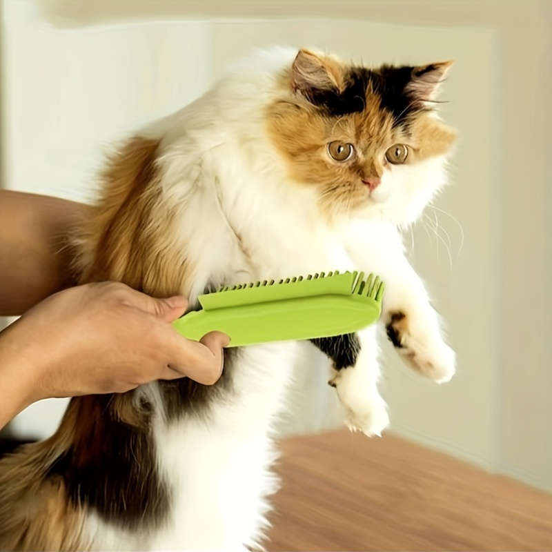 1pc Assorted Pet Comb