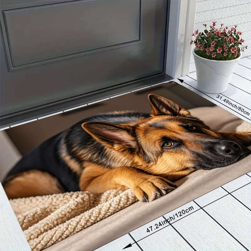 1Pc 19.69x31.49inch 50x80cm Floor Mat