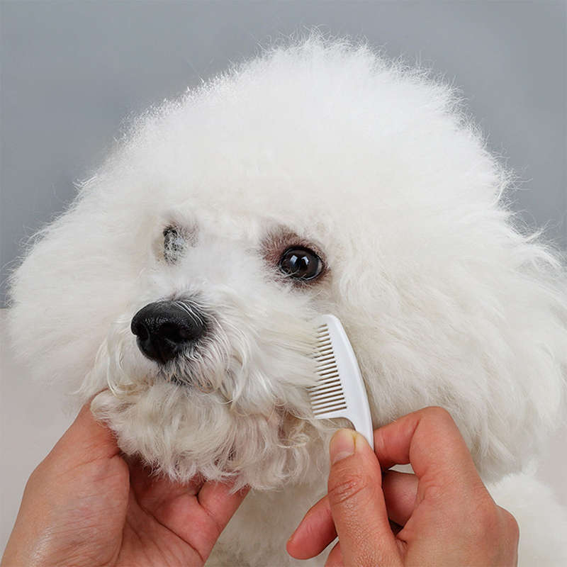 1pc 2PCS White Pet Comb
