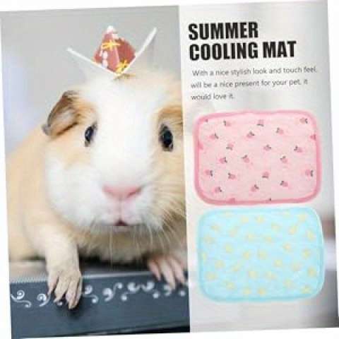 1piece Xs  16X21Cm  Cooling Pad