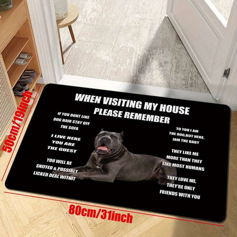 1Pc 50x80cm 19x31inch Floor Mat