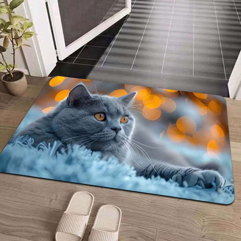 1Pc Gray Blue 19.69x31.49inch 50x80cm Floor Mat