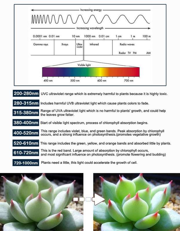 T5 4.8W 15 LEDs Red + Blue Plant Growth Light Greenhouse Light Aquarium Light