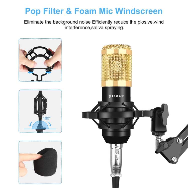 PULUZ Condenser Microphone Studio Broadcast Professional Singing Microphone (Gold)