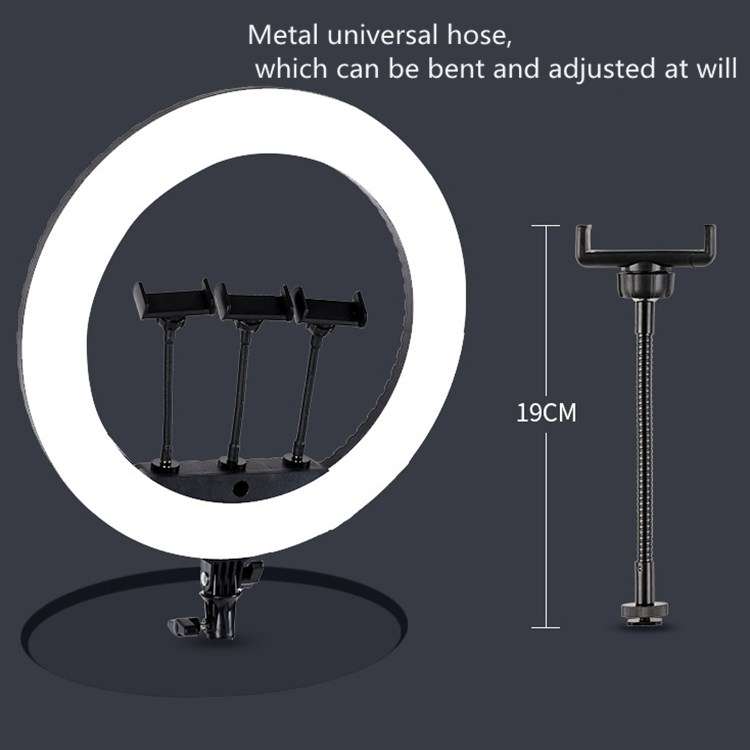 HQ-21N 21 inch 52.5cm LED Ring Vlogging Photography Video Lights Kits with Remote Control & Phone Cl