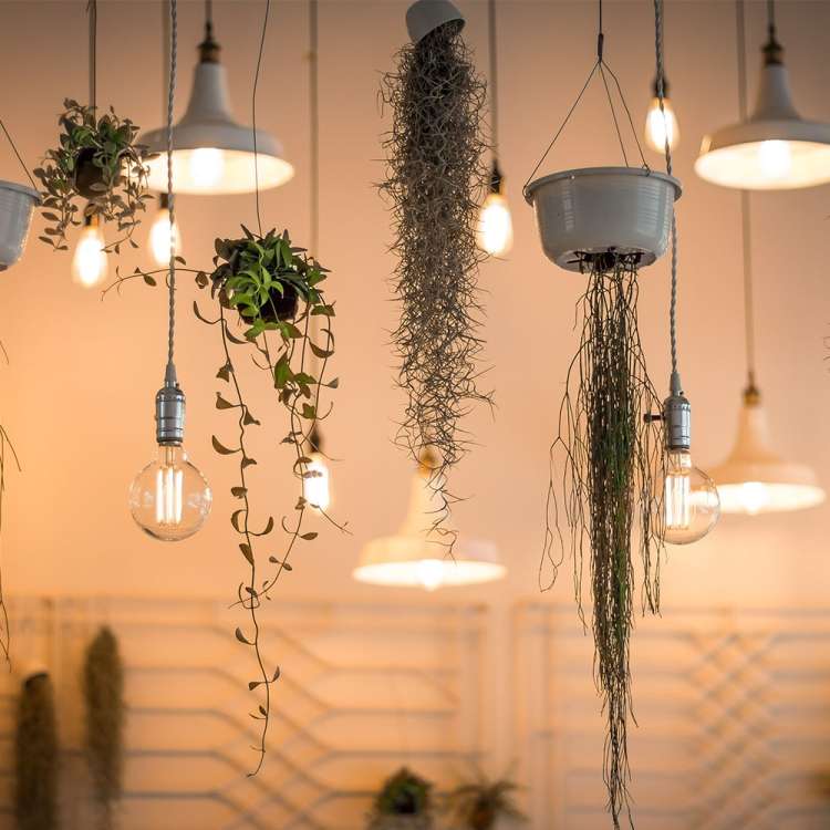E27 40W Retro Edison Light Bulb Filament Vintage Ampoule Incandescent Bulb, AC 220V(T10 Filament)