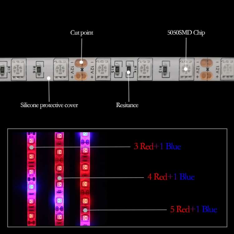5m 300 LEDs SMD 5050 Full Spectrum LED Strip Light Fitolampy Grow Lights for Greenhouse Hydroponic P