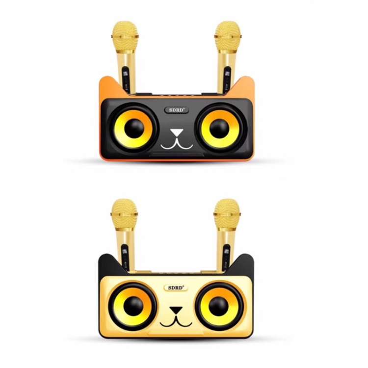 SDRD SD-305 2 in 1 Family KTV Portable Wireless Live Dual Microphone + Bluetooth Speaker(Black)