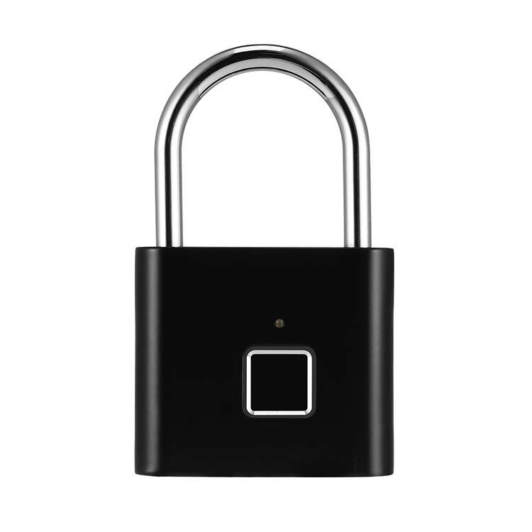 Stainless Steel Automatic Intelligent Fingerprint Padlock Electronic Lock, 10 Fingerprint Edition(Si