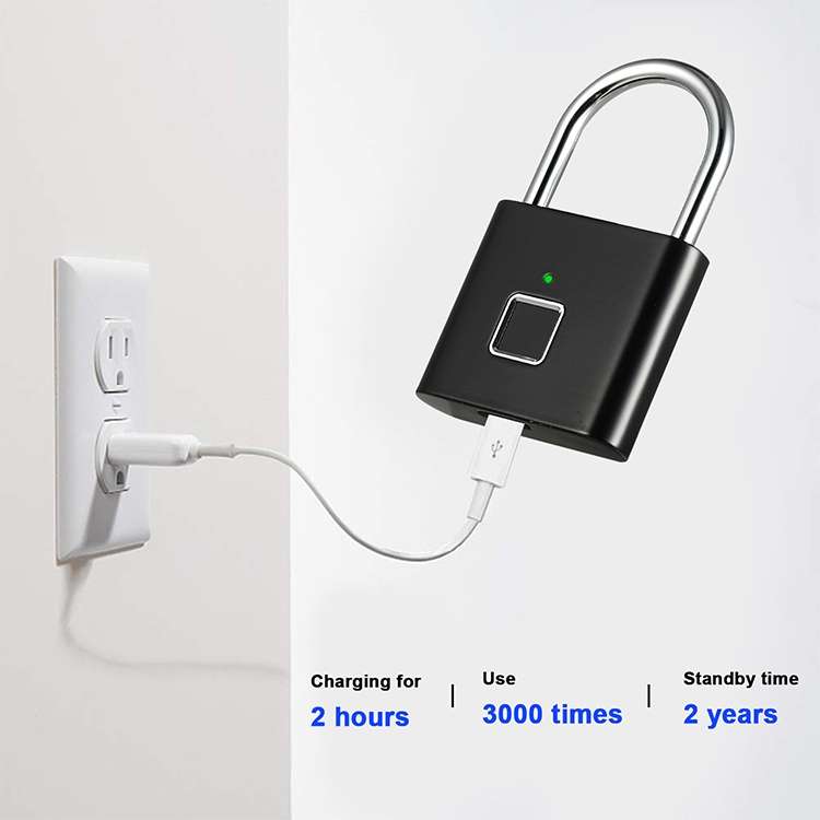 Stainless Steel Automatic Intelligent Fingerprint Padlock Electronic Lock, 10 Fingerprint Edition(Si