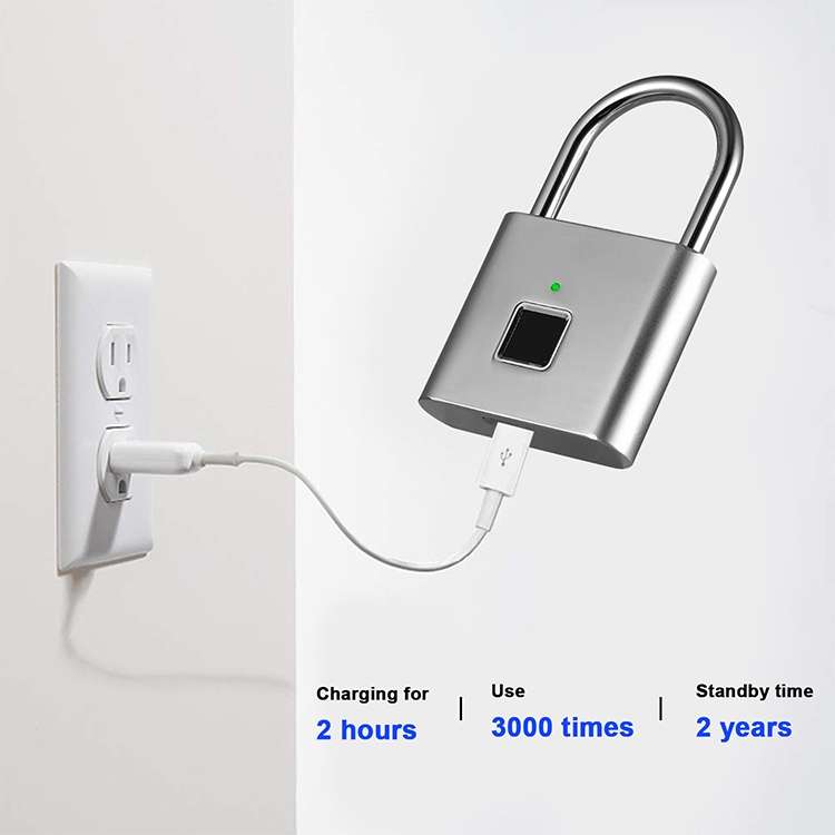 Stainless Steel Automatic Intelligent Fingerprint Padlock Electronic Lock, 10 Fingerprint Edition(Si
