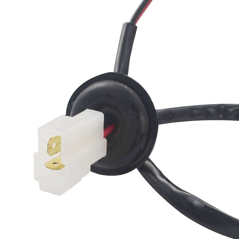 EP-500-0 12V Car modification Electric Fuel Pump(Gold)