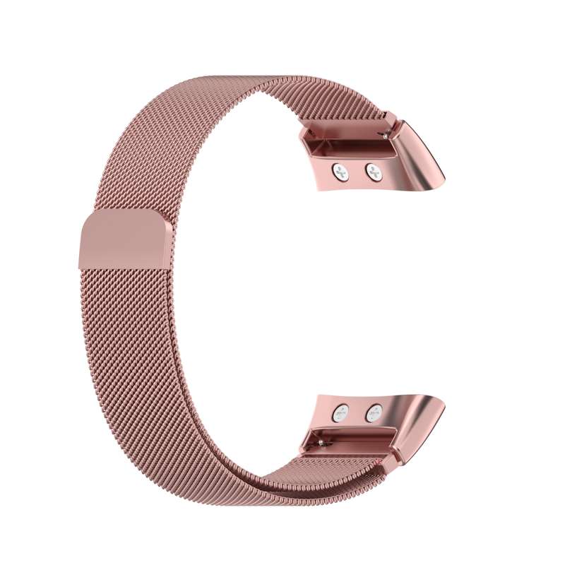 For Garmin Forerunner 45 / 45S / Swim 2 Milanese Watch Band(Colorful)