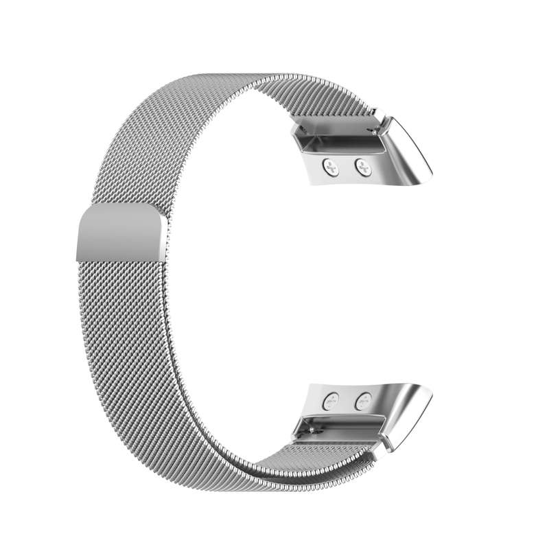 For Garmin Forerunner 45 / 45S / Swim 2 Milanese Watch Band(Colorful)