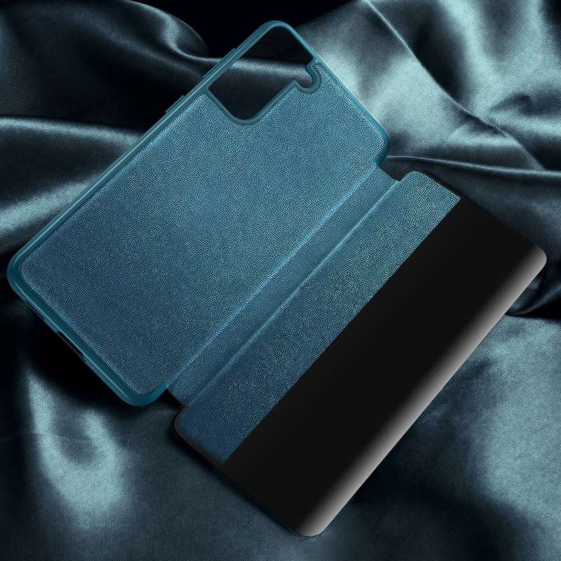 For Samsung Galaxy S21 Ultra 5G Magnetic Side Window View Shockproof Horizontal Flip Leather Case(Bl