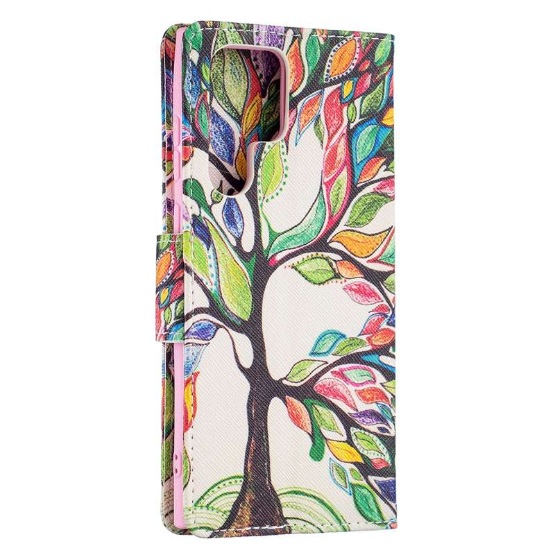 For Samsung Galaxy S22 Ultra 5G Colored Drawing Pattern Horizontal Flip Phone Leather Case with Hold