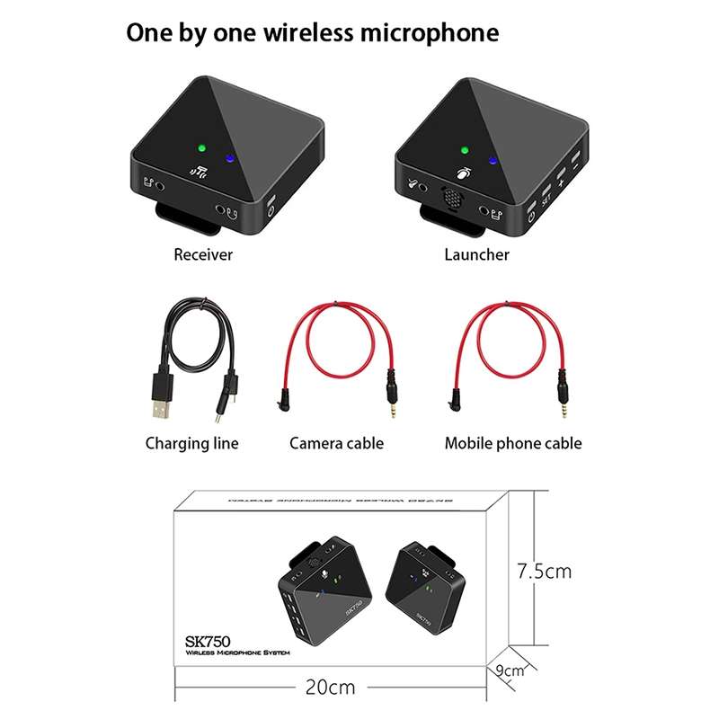 SK750 Type-C Charging One for One Wireless Lavalier Mini Microphone(Black)