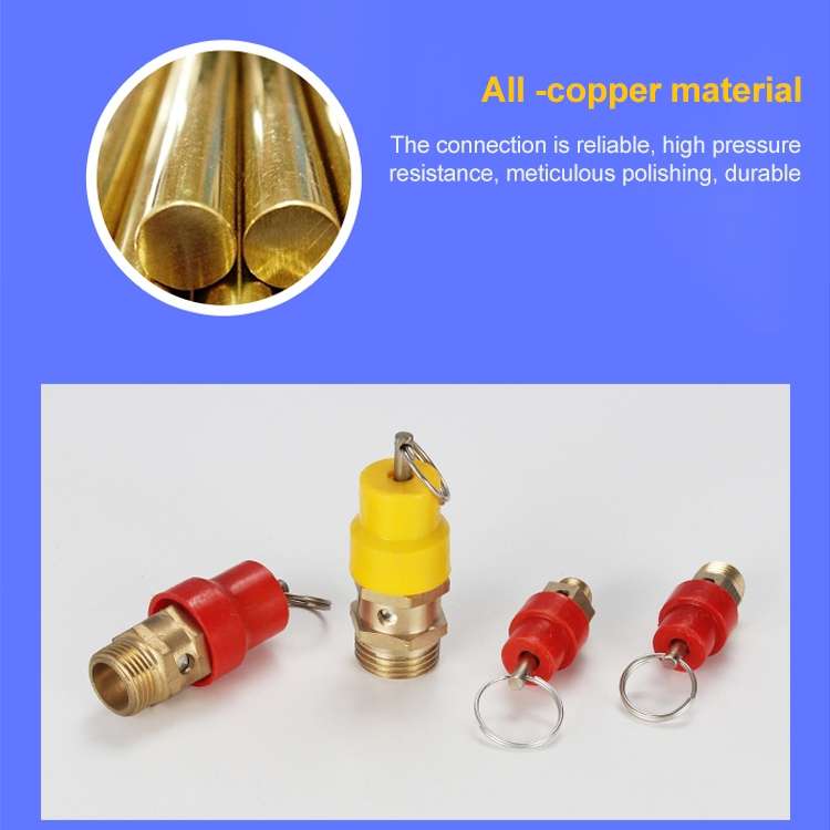 LAIZE Spring Type Safety Valve Pull Ring Exhaust Valve, Nominal Diameter:10mm