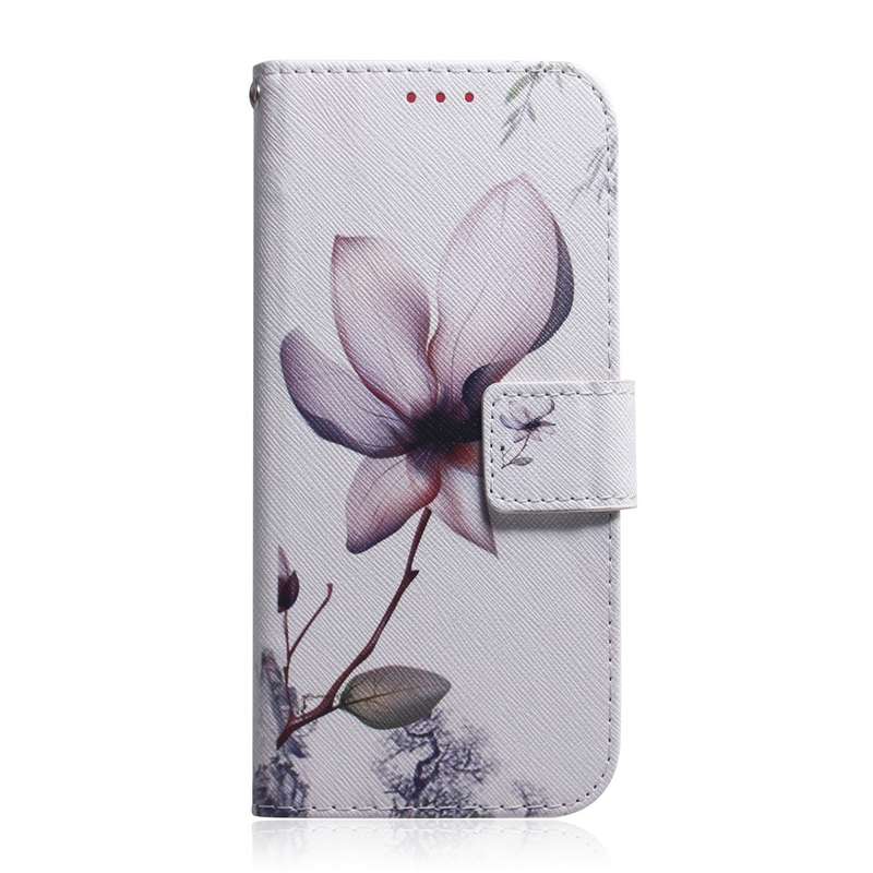 For Tecno Pova 6 Pro / Pova 6 Coloured Drawing Flip Leather Phone Case(Magnolia)