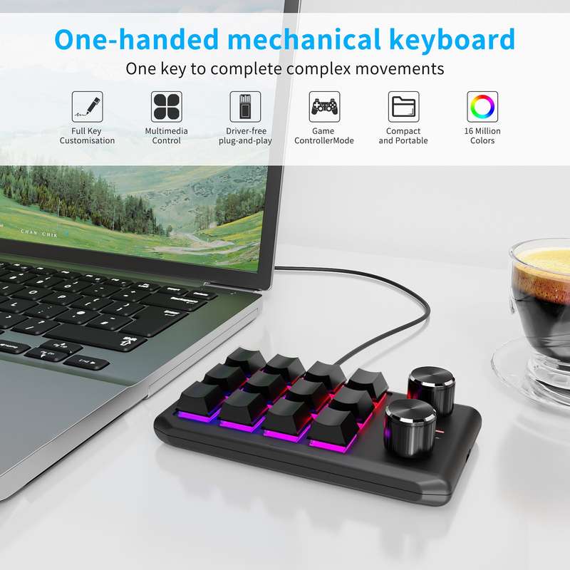 USB Wired 12KV2 MOLD Mini Mechanical 12 Keys 2 Knob Custom Programming Keyboard(Black)
