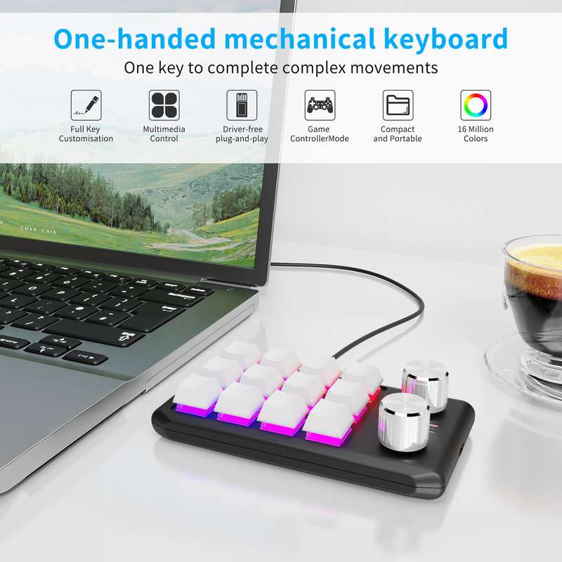 USB Wired 12KV2 MOLD Mini Mechanical 12 Keys 2 Knob Custom Programming Keyboard(Black)