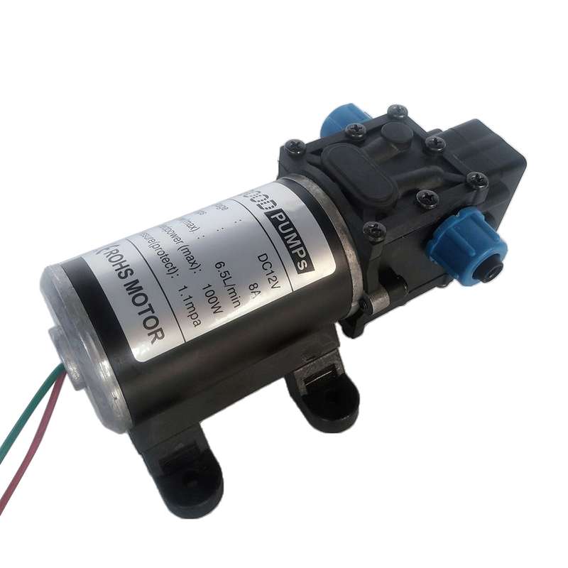 DC12V 100W Smart Double Thread Positive Pump Diaphragm 8L Atomizing Spray Water Pump for Car Washing