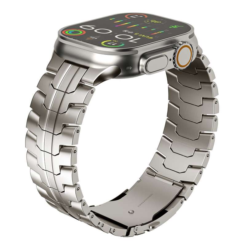 For Apple Watch SE 2023 40mm Double Lock Buckle Turtle Titanium Steel Watch Band(Titanium)