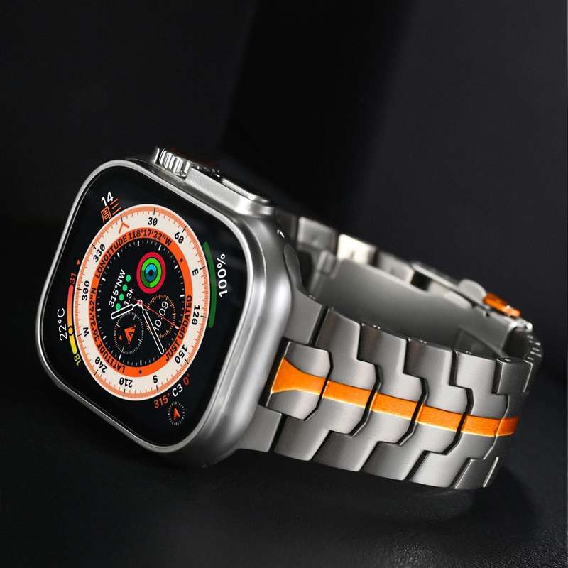 For Apple Watch SE 2023 40mm Double Lock Buckle Turtle Titanium Steel Watch Band(Titanium)