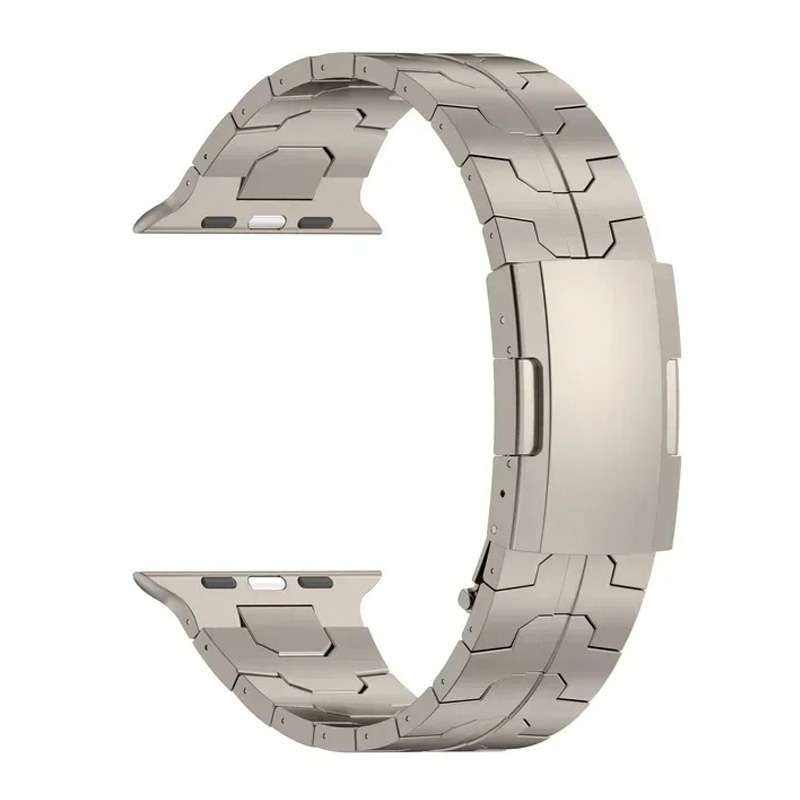 For Apple Watch Series 9 45mm Turtle Buckle Titanium Alloy Watch Band(Titanium)