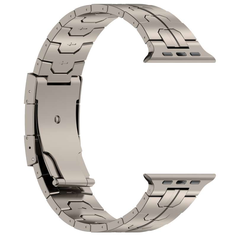 For Apple Watch Series 9 45mm Turtle Buckle Titanium Alloy Watch Band(Titanium)