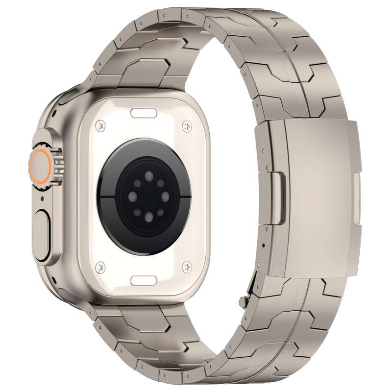 For Apple Watch Series 9 45mm Turtle Buckle Titanium Alloy Watch Band(Titanium)