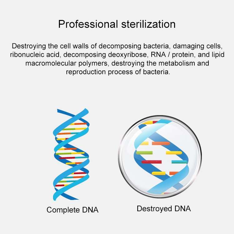 Home Smart Air Disinfection Machine Ozone Disinfection Sterilization Deodorization Negative Ion Air