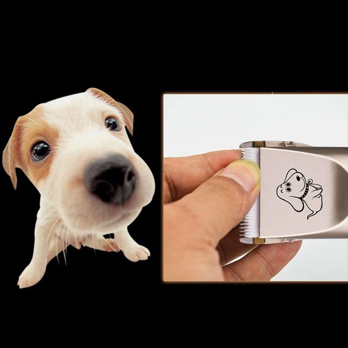 P2 110-240V Ceramics Titanium Professional Pet Electric Scissors Pets Hair Clippers with Four Combs