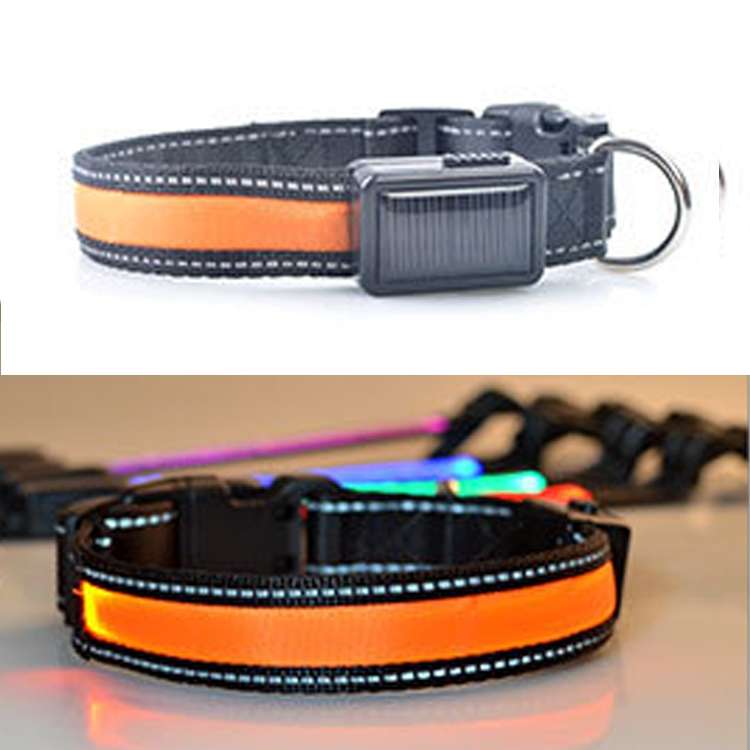 Medium and Large Dog Pet Solar + USB Charging LED Light Collar, Neck Circumference Size: L, 50-60cm(