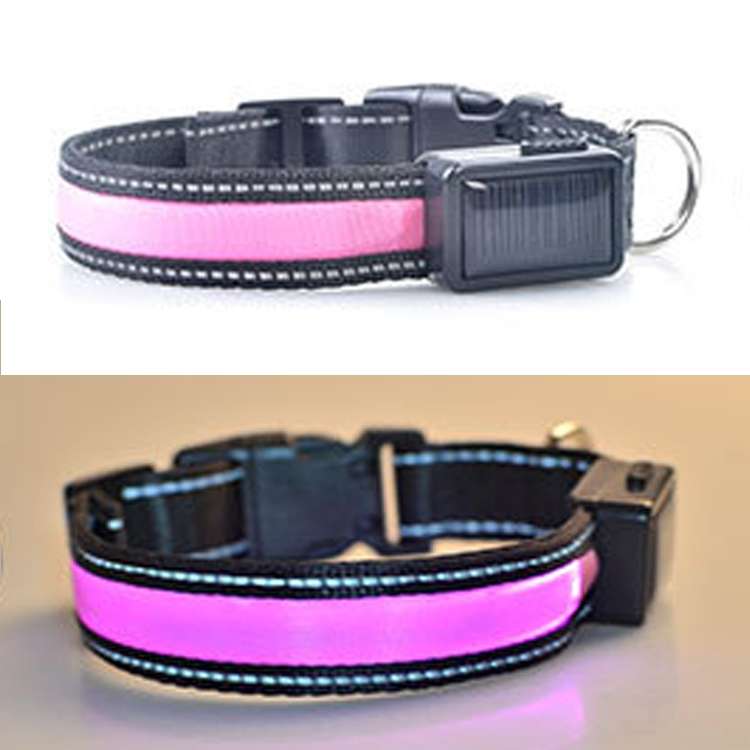 Medium and Large Dog Pet Solar + USB Charging LED Light Collar, Neck Circumference Size: L, 50-60cm(
