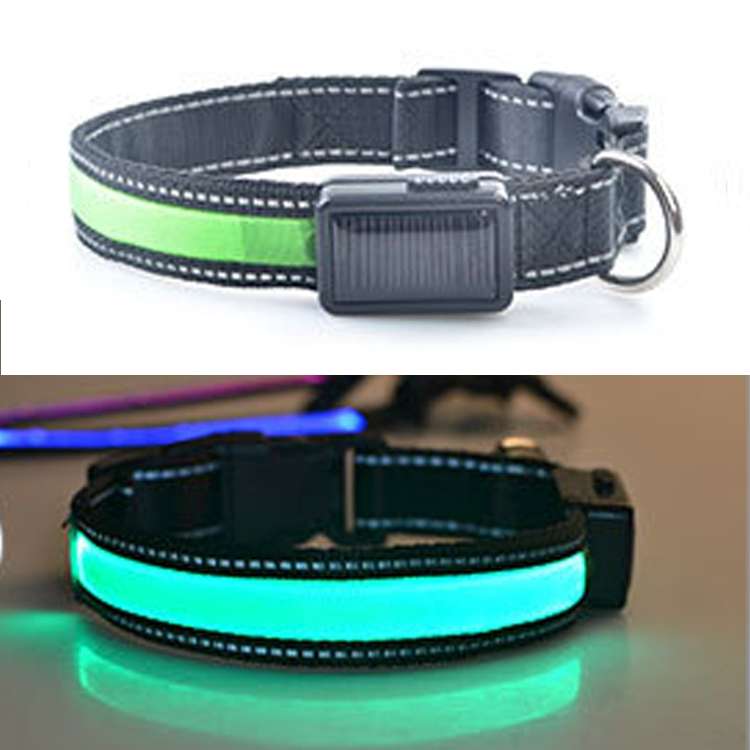 Medium and Large Dog Pet Solar + USB Charging LED Light Collar, Neck Circumference Size: L, 50-60cm(