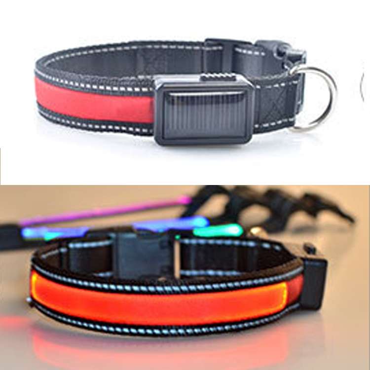 Medium and Large Dog Pet Solar + USB Charging LED Light Collar, Neck Circumference Size: L, 50-60cm(