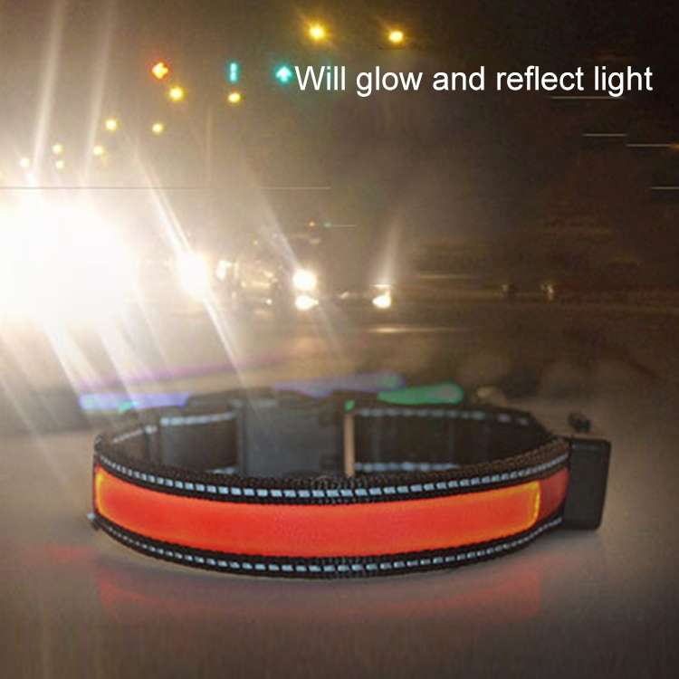 Medium and Large Dog Pet Solar + USB Charging LED Light Collar, Neck Circumference Size: L, 50-60cm(